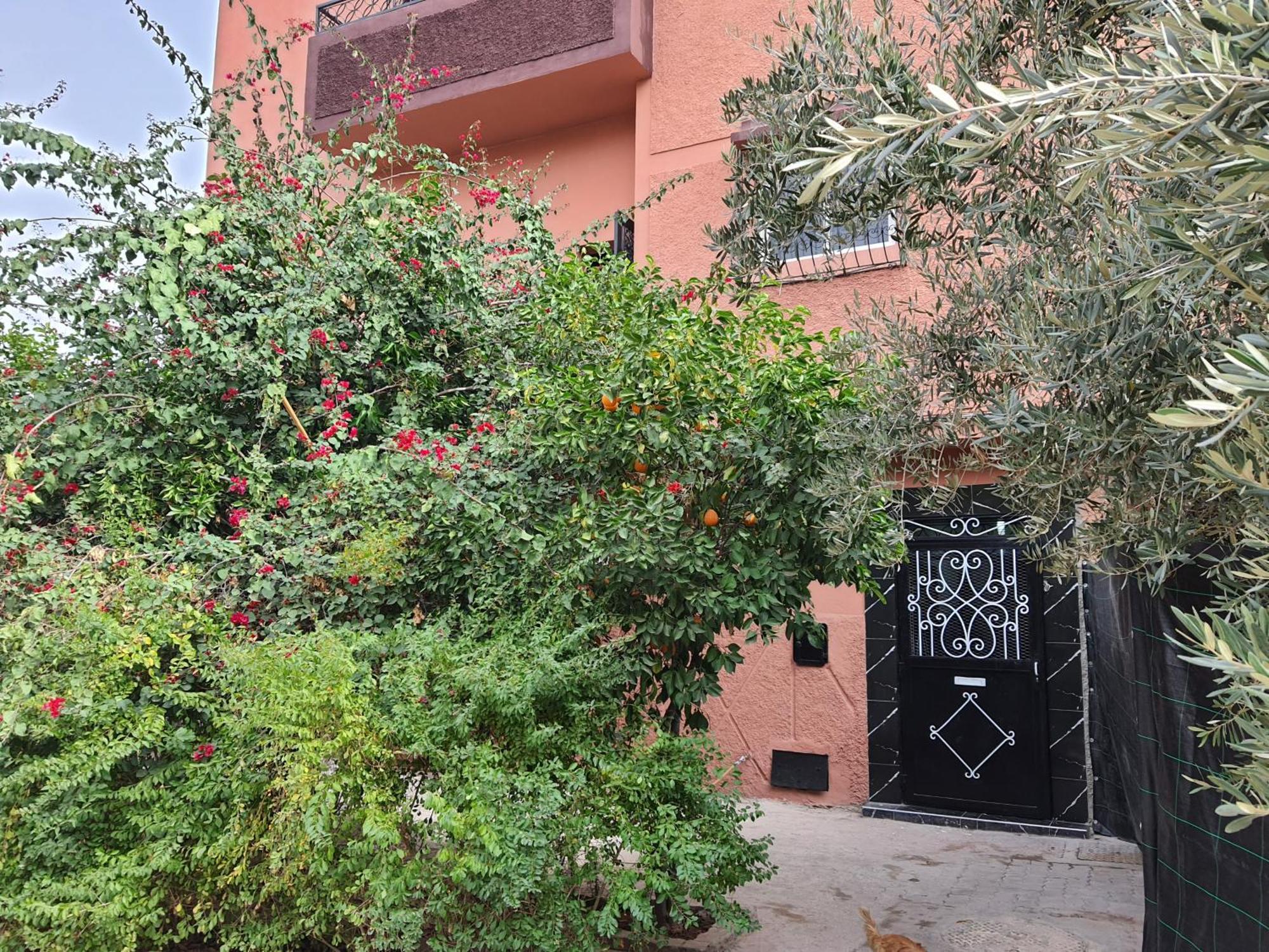 Marrakech Leilighet Marrakesh Eksteriør bilde